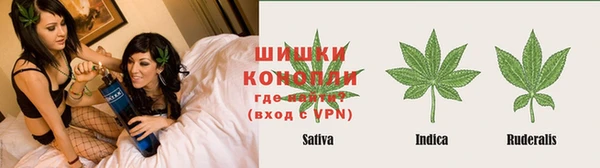 каннабис Богданович