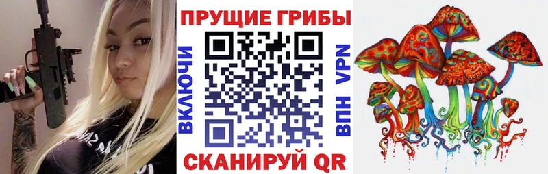 Псилоцибиновые грибы Cubensis  купить закладку  Котельнич 